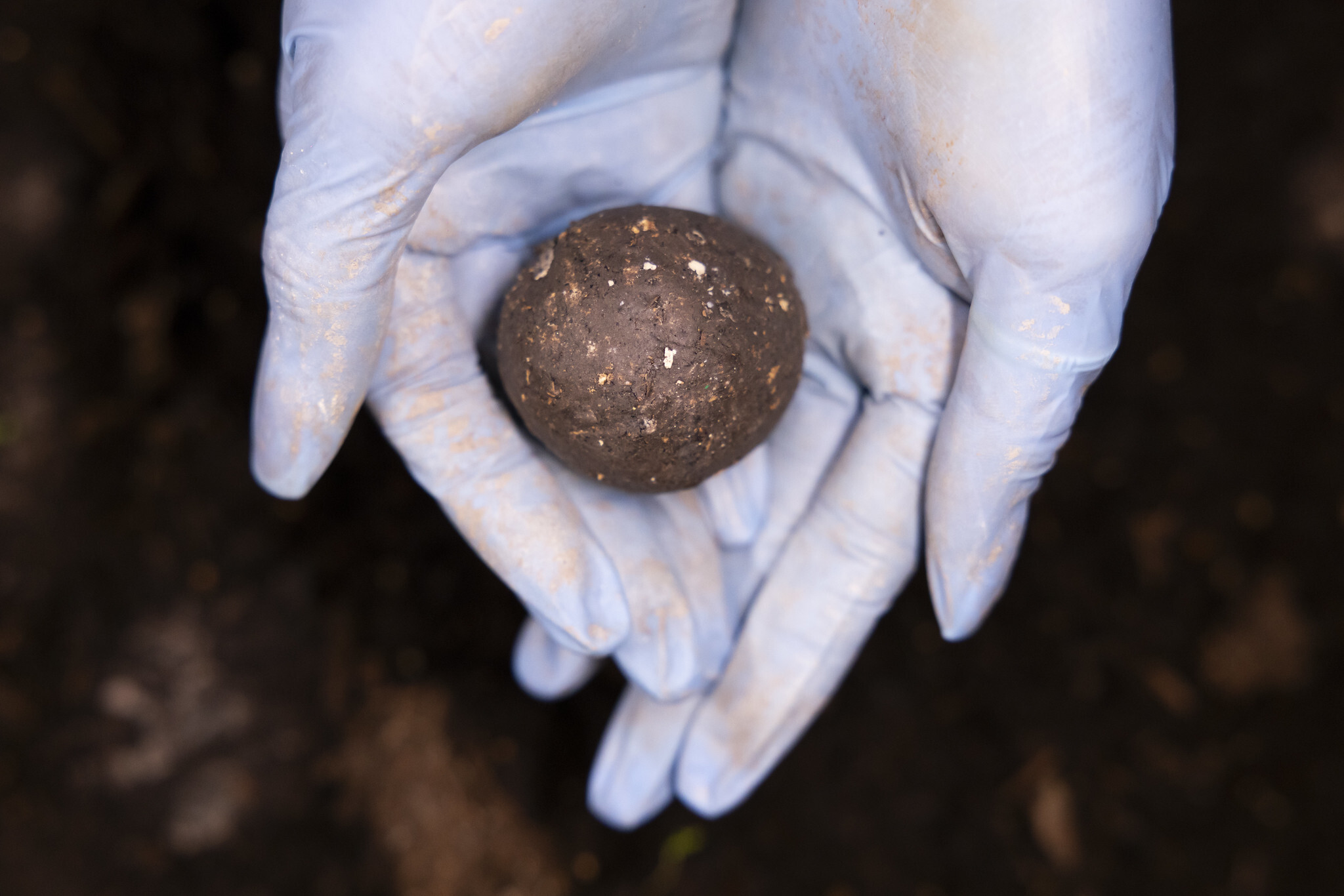 54710861243 8116bb903e k