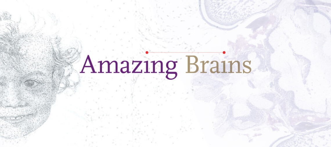 Amzaing Brains event page