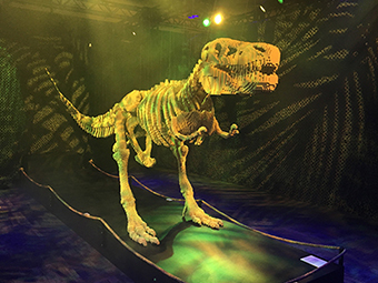 Spend A Day At The New York Hall Of Science SR